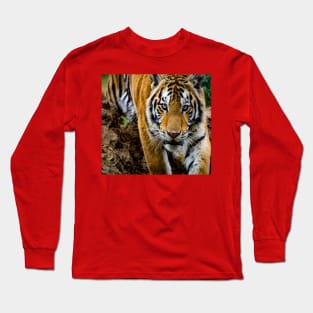 Tiger Long Sleeve T-Shirt